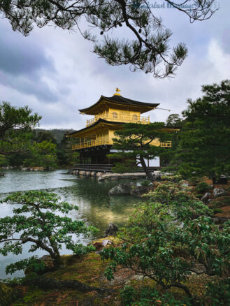 Trees surround the lakeside Kinkaku-Ji (Golden Pavilion) Temple in Kyoto, Japan