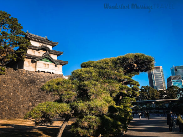 A temple atop a wall, with a tree in front, at Tokyo Imperial Palace