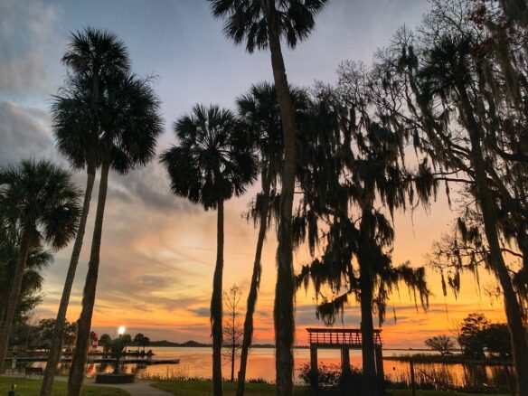 Colorful sunset with palm trees on Lake Dora, in Mount Dora, Florida