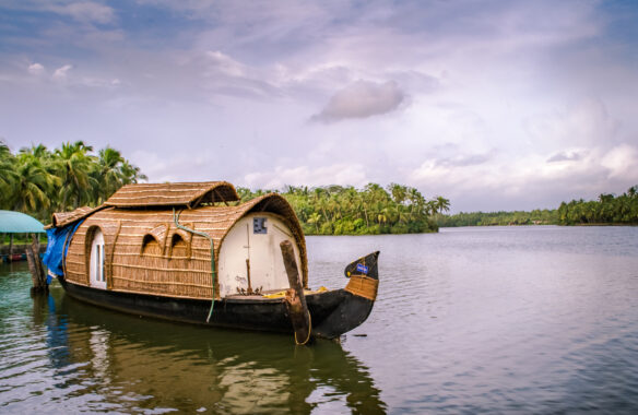 River with a small thatched roof houseboat, with palm tress on the  river bank