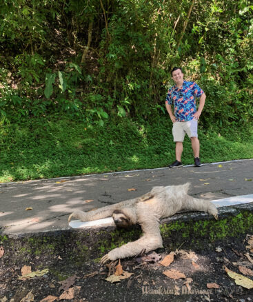 Alex standing behind a sloth on the paved Ancon Hill hiking trail