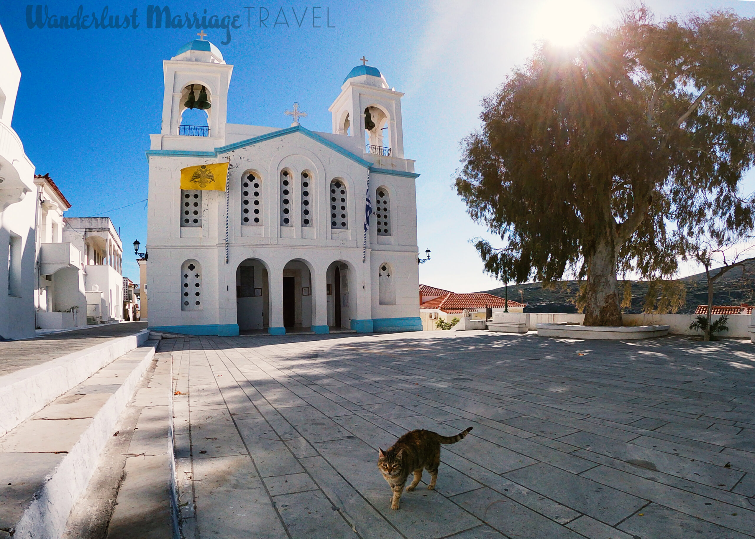 Tabby cat in front of a white washed cathedral with blue accents and a blue sky