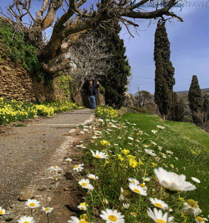 Spring wild flowers line the path as a man waves hello with blue skies behind him