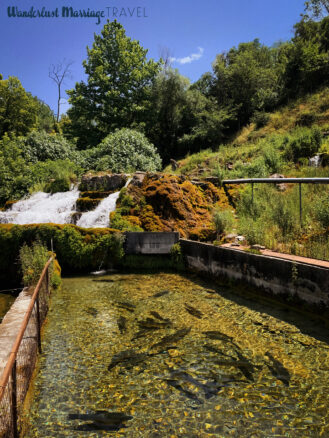 Waterfall that feeds into a man made river with the trout swimming around with beautiful blue skies