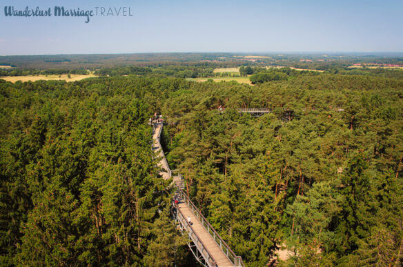 View from a tower overlooking the forest and hills with a walkway through the tree tops and blue skies