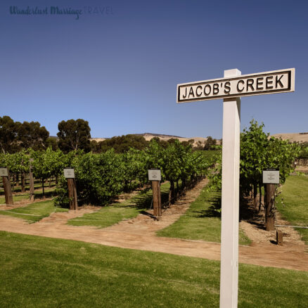 Sign saying Jacob's creek, with grape vines behind it and bright blue skies