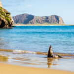 Dive and Learn About the Ecological Wonders of the New World