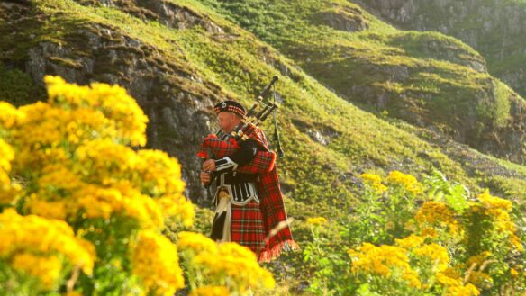 A Scottish man wearing a kilt and playing bagpipes walks through a mountain with yellow flowers.