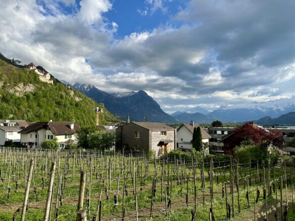 Vineyards and picturesque mountains and Liechtenstein Castle in Vaduz, Liechtenstein