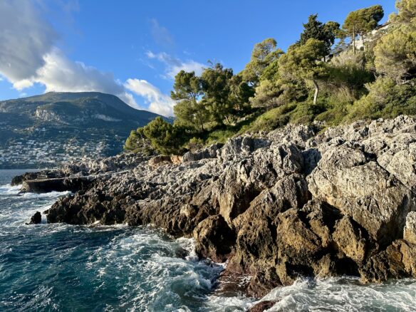 Rocky coast topped with trees, along the sea with Monaco in the background.