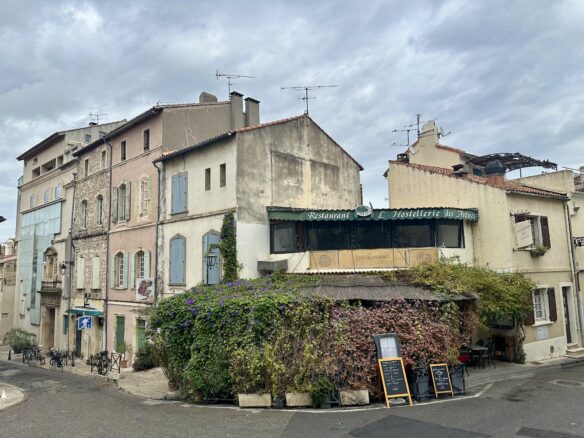 pastel colored buildings and colorful vines in Arles, France with a cloudy sky.