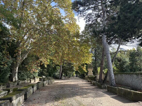 Alycamps Necropolis with autumn foliage in Arles, France.