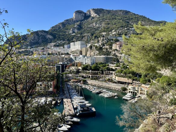 A sweeping overlook view of Monaco City, Monaco including the marina and a mountain.