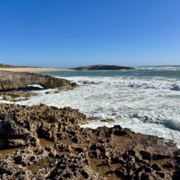 View of the rugged coast of South Australia in Beachport