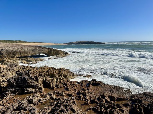View of the rugged coast of South Australia in Beachport