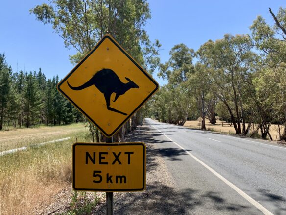 A kangaroo crossing sign along the road in South Australia