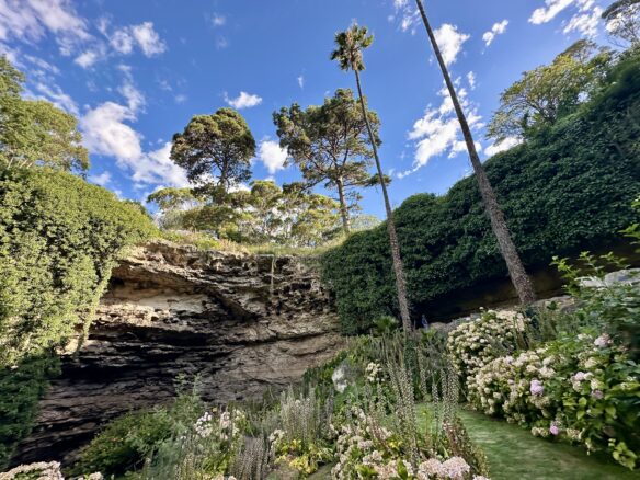 A sunken garden with tall trees at Umpherston Sinkhole in Mount Gambier